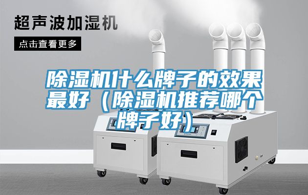 好色先生在线播放什麽牌子的效果最好（好色先生在线播放推薦哪個牌子好）