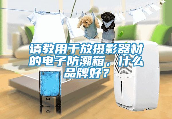 請教用於放攝影器材的電子防潮箱，什麽品牌好？