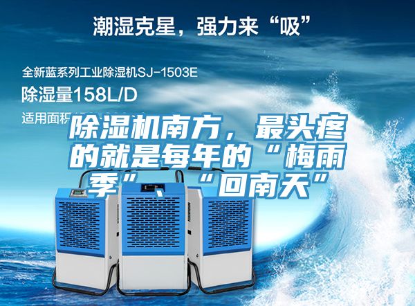 好色先生在线播放南方，最頭疼的就是每年的“梅雨季”、“回南天”