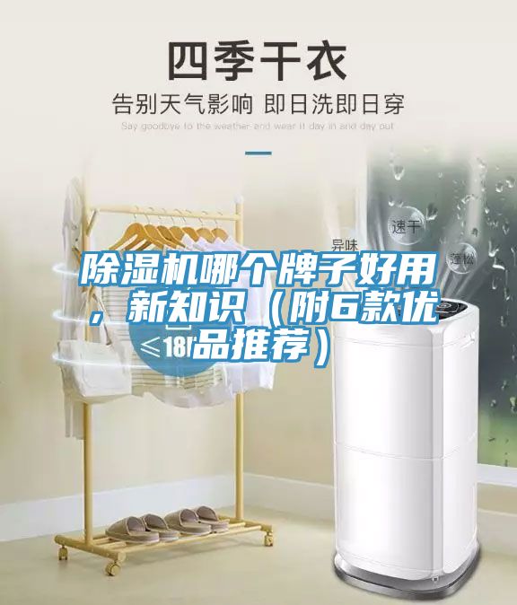 好色先生在线播放哪個牌子好用，新知識（附6款優品推薦）