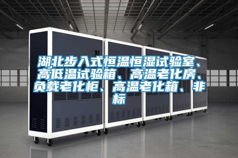 湖北步入式恒溫恒濕試驗室、高低溫試驗箱、高溫老化房、負載老化櫃、高溫老化箱、非標