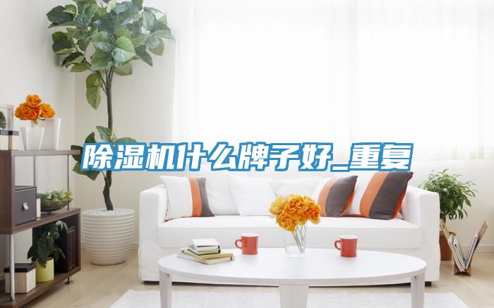 好色先生在线播放什麽牌子好_重複