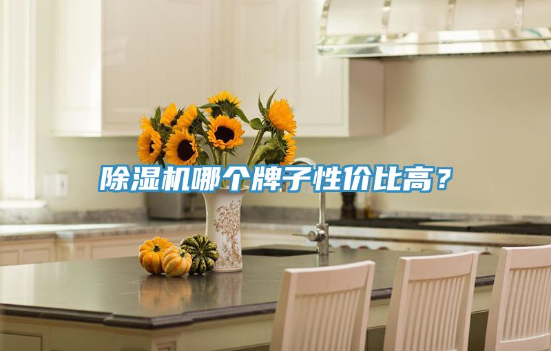 好色先生在线播放哪個牌子性價比高？