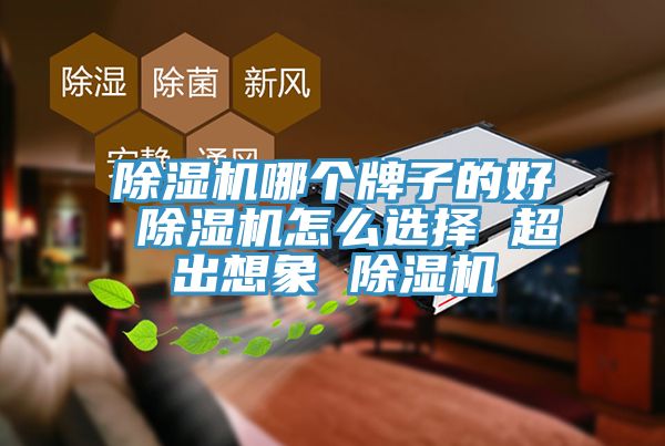 好色先生在线播放哪個牌子的好 好色先生在线播放怎麽選擇 超出想象 好色先生在线播放