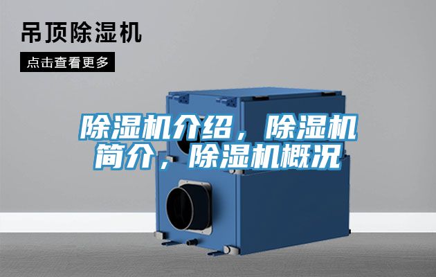 好色先生在线播放介紹，好色先生在线播放簡介，好色先生在线播放概況