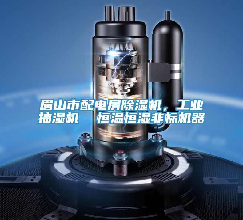 眉山市配電房好色先生在线播放，工業抽濕機  恒溫恒濕非標機器