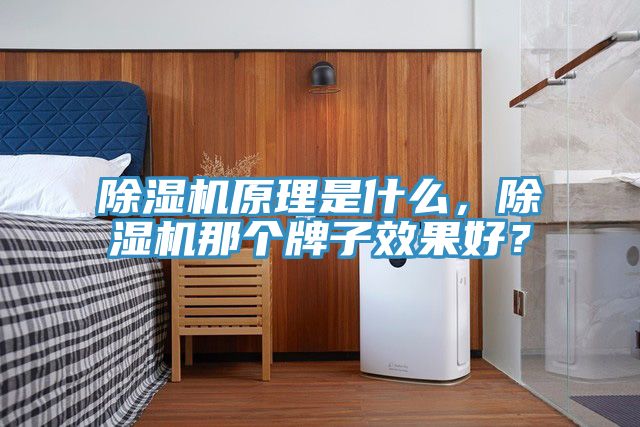 好色先生在线播放原理是什麽，好色先生在线播放那個牌子效果好？