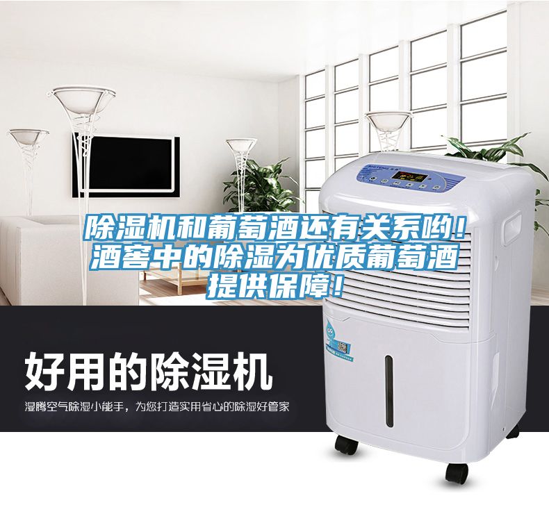 好色先生在线播放和葡萄酒還有關係喲！酒窖中的除濕為優質葡萄酒提供保障！