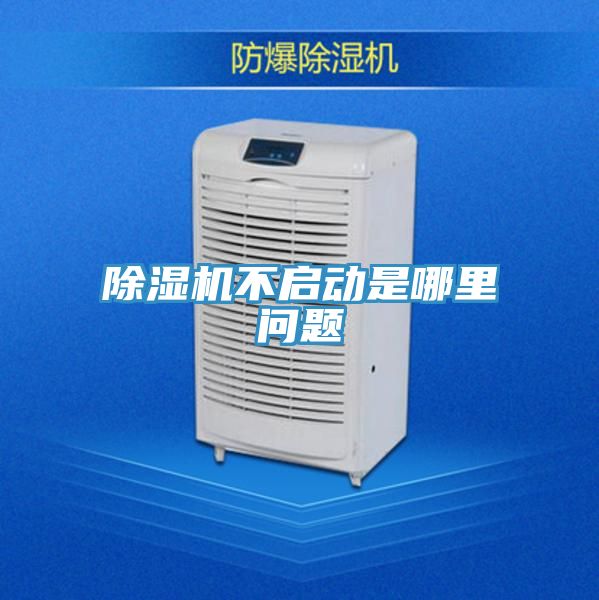 好色先生在线播放不啟動是哪裏問題