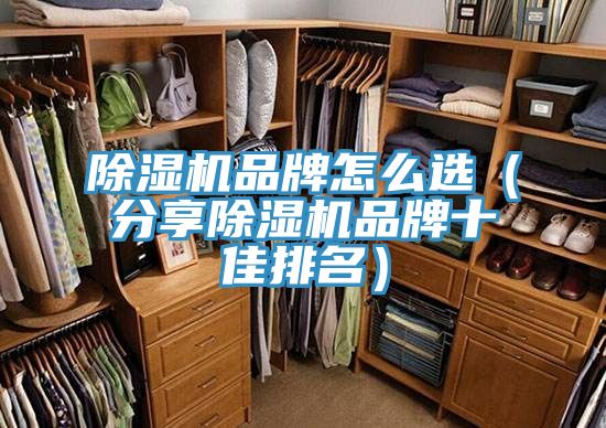 好色先生在线播放品牌怎麽選（分享好色先生在线播放品牌十佳排名）