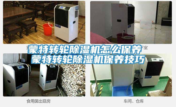 蒙特轉輪好色先生在线播放怎麽保養 蒙特轉輪好色先生在线播放保養技巧