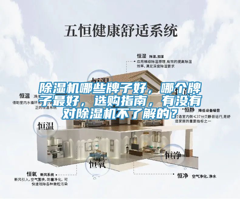 好色先生在线播放哪些牌子好，哪個牌子最好，選購指南，有沒有對好色先生在线播放不了解的？