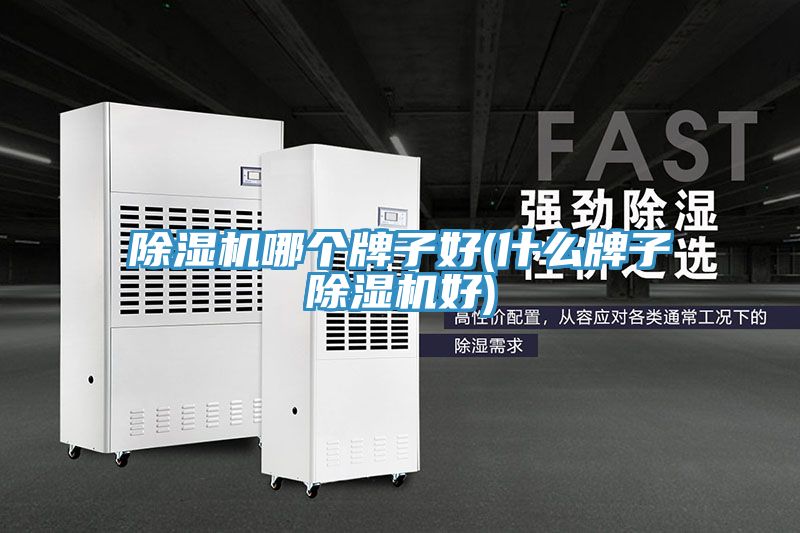 好色先生在线播放哪個牌子好(什麽牌子好色先生在线播放好)