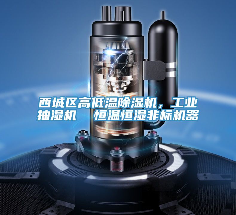 西城區高低溫好色先生在线播放，工業抽濕機  恒溫恒濕非標機器