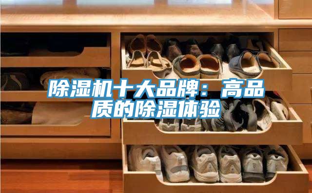 好色先生在线播放十大品牌：高品質的除濕體驗