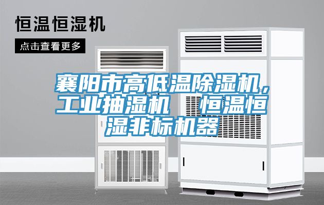 襄陽市高低溫好色先生在线播放，工業抽濕機  恒溫恒濕非標機器