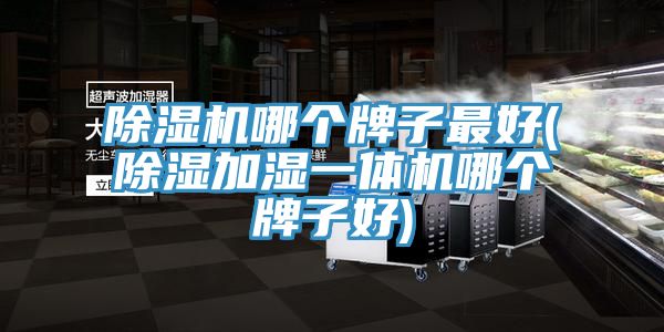 好色先生在线播放哪個牌子最好(除濕加濕一體機哪個牌子好)