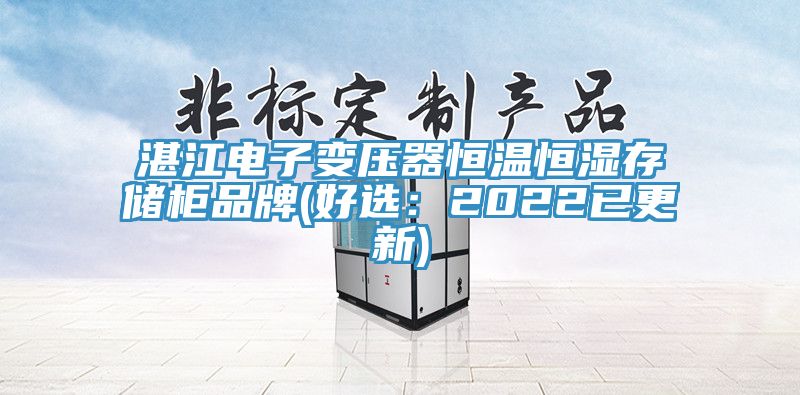 湛江電子變壓器恒溫恒濕存儲櫃品牌(好選：2022已更新)