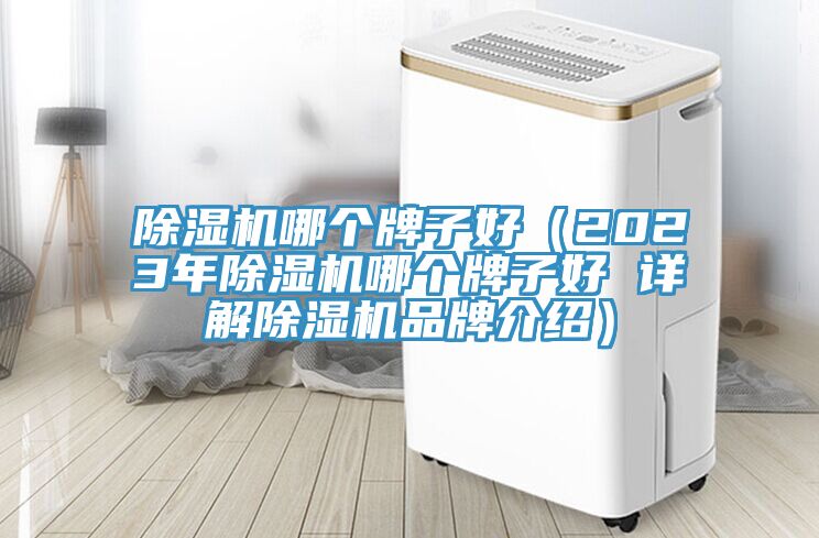 好色先生在线播放哪個牌子好（2023年好色先生在线播放哪個牌子好 詳解好色先生在线播放品牌介紹）