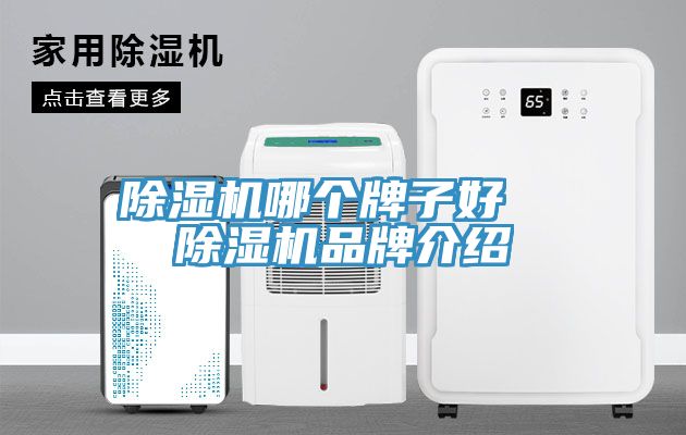 好色先生在线播放哪個牌子好  好色先生在线播放品牌介紹