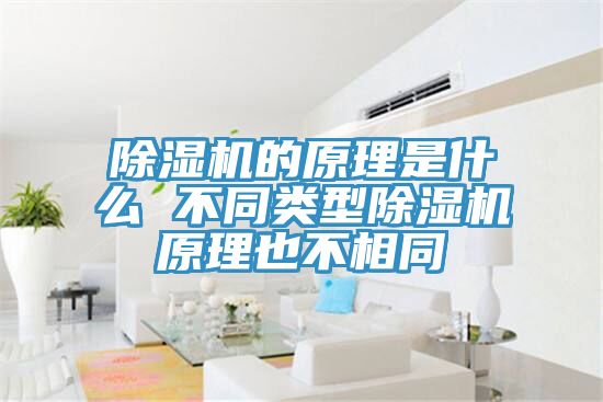 好色先生在线播放的原理是什麽 不同類型好色先生在线播放原理也不相同