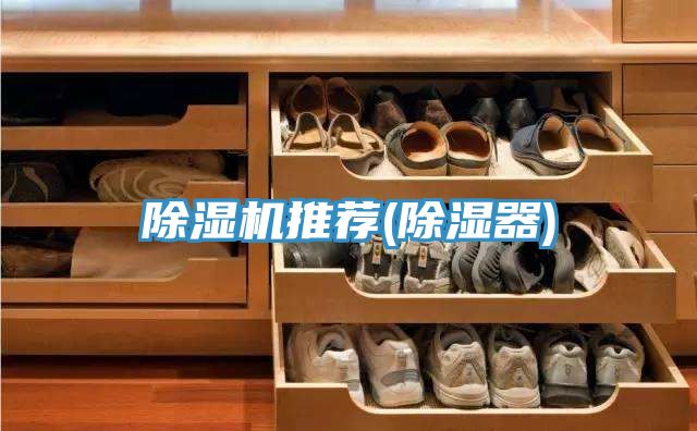 好色先生在线播放推薦(除濕器)