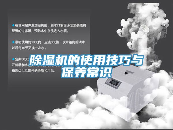 好色先生在线播放的使用技巧與保養常識