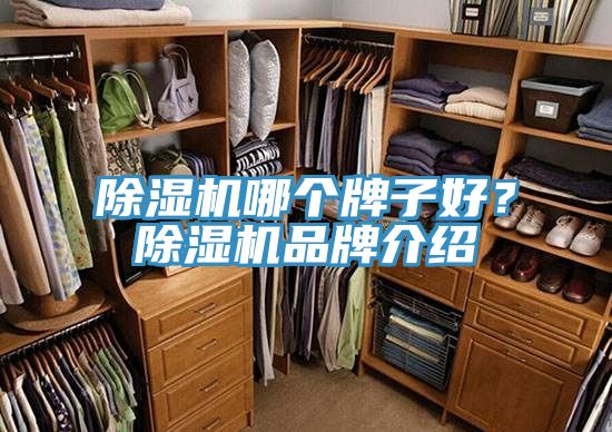 好色先生在线播放哪個牌子好？好色先生在线播放品牌介紹