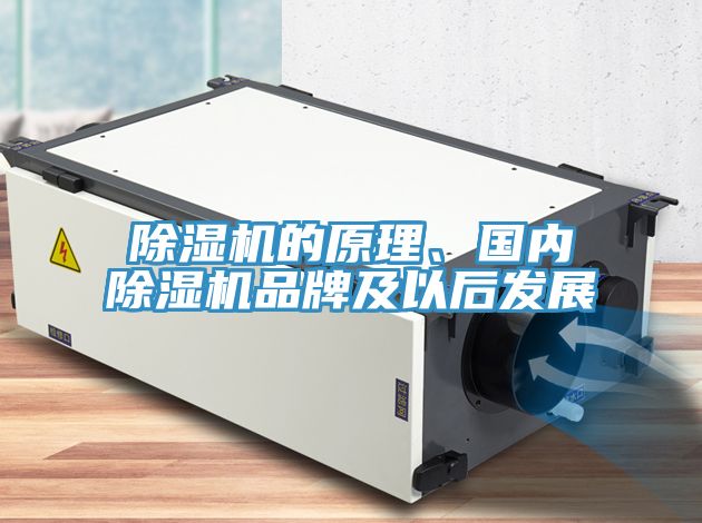 好色先生在线播放的原理、國內好色先生在线播放品牌及以後發展