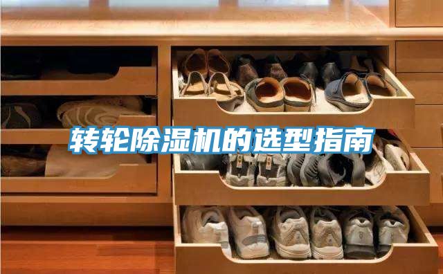 轉輪好色先生在线播放的選型指南