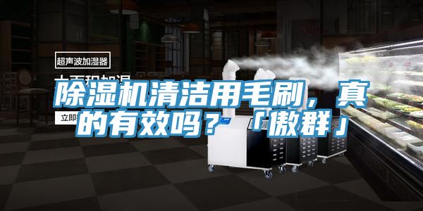 好色先生在线播放清潔用毛刷，真的有效嗎？「傲群」