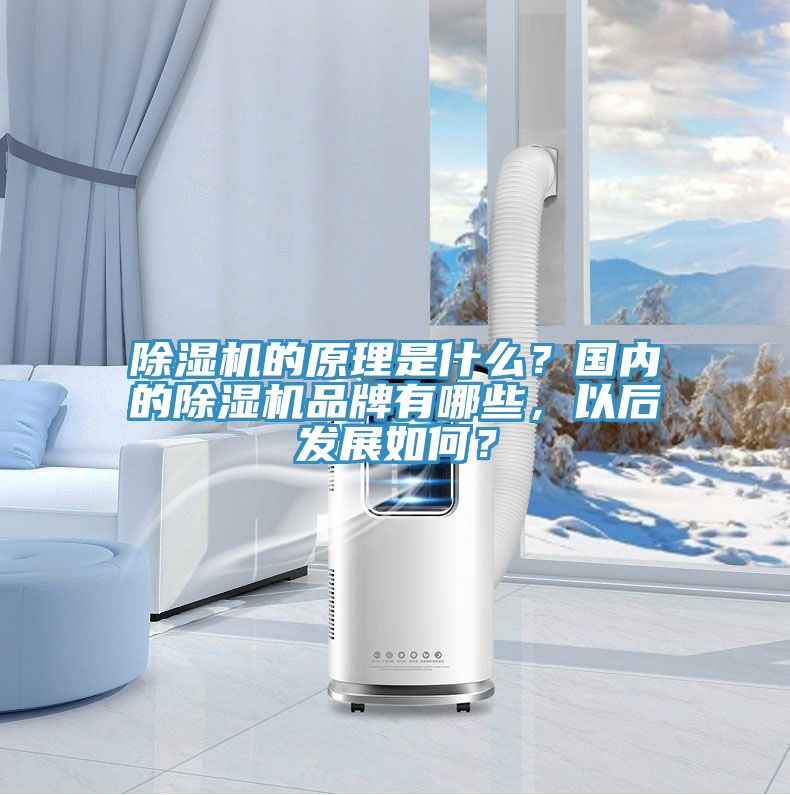 好色先生在线播放的原理是什麽？國內的好色先生在线播放品牌有哪些，以後發展如何？