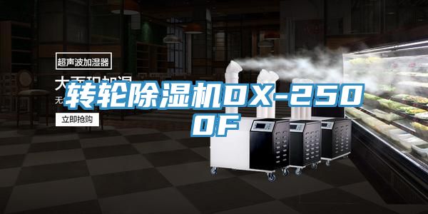 轉輪好色先生在线播放DX-2500F