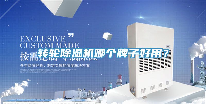 轉輪好色先生在线播放哪個牌子好用？