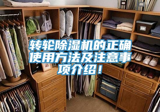 轉輪好色先生在线播放的正確使用方法及注意事項介紹！