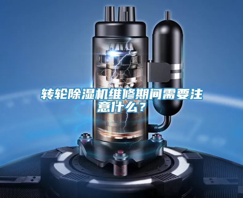 轉輪好色先生在线播放維修期間需要注意什麽？