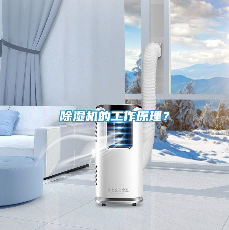 好色先生在线播放的工作原理？