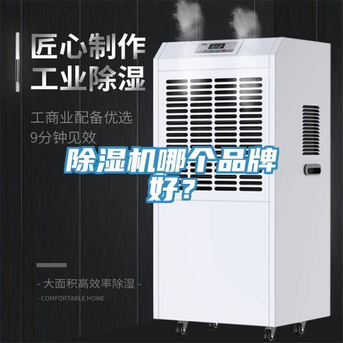 好色先生在线播放哪個品牌好？