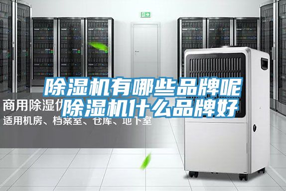 好色先生在线播放有哪些品牌呢 好色先生在线播放什麽品牌好