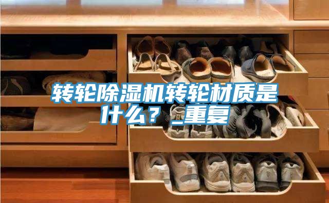 轉輪好色先生在线播放轉輪材質是什麽？_重複