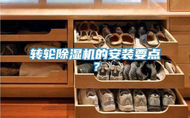 轉輪好色先生在线播放的安裝要點？