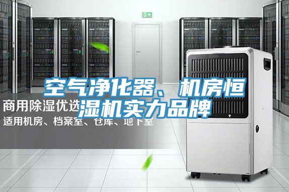 空氣淨化器、機房恒濕機實力品牌