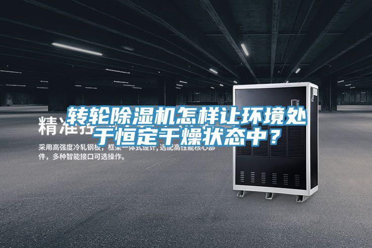 轉輪好色先生在线播放怎樣讓環境處於恒定幹燥狀態中？