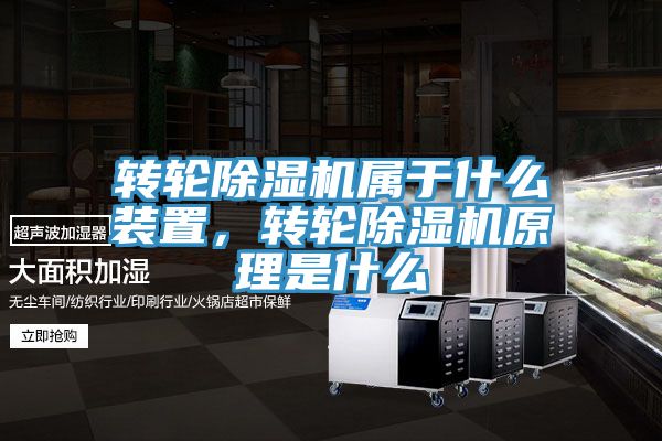 轉輪好色先生在线播放屬於什麽裝置，轉輪好色先生在线播放原理是什麽