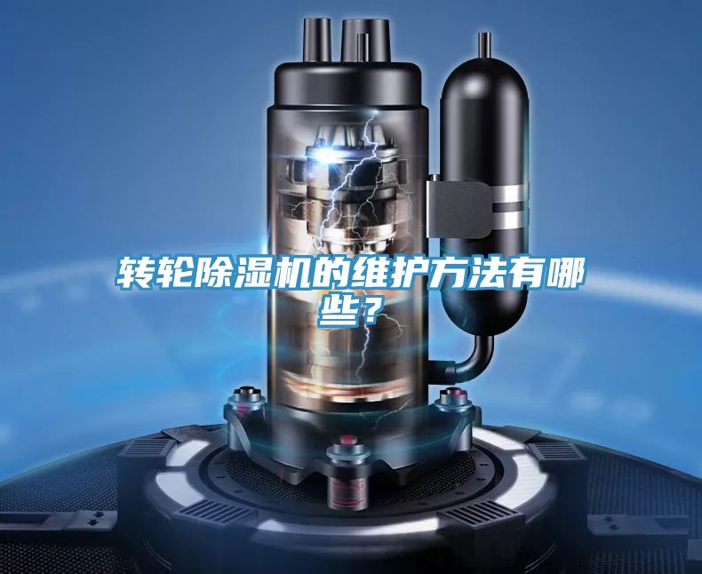 轉輪好色先生在线播放的維護方法有哪些？