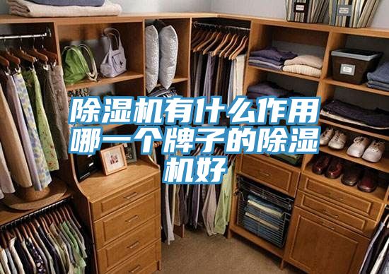 好色先生在线播放有什麽作用哪一個牌子的好色先生在线播放好