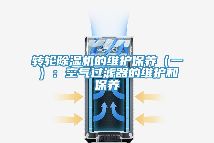 轉輪好色先生在线播放的維護保養（一）：空氣過濾器的維護和保養