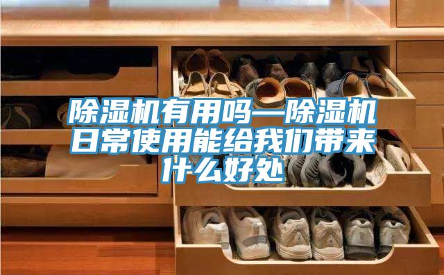 好色先生在线播放有用嗎—好色先生在线播放日常使用能給好色先生TVAPP帶來什麽好處