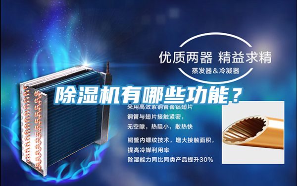 好色先生在线播放有哪些功能？