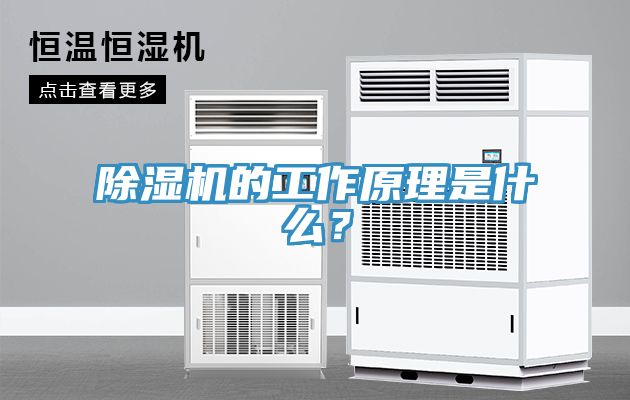 好色先生在线播放的工作原理是什麽？